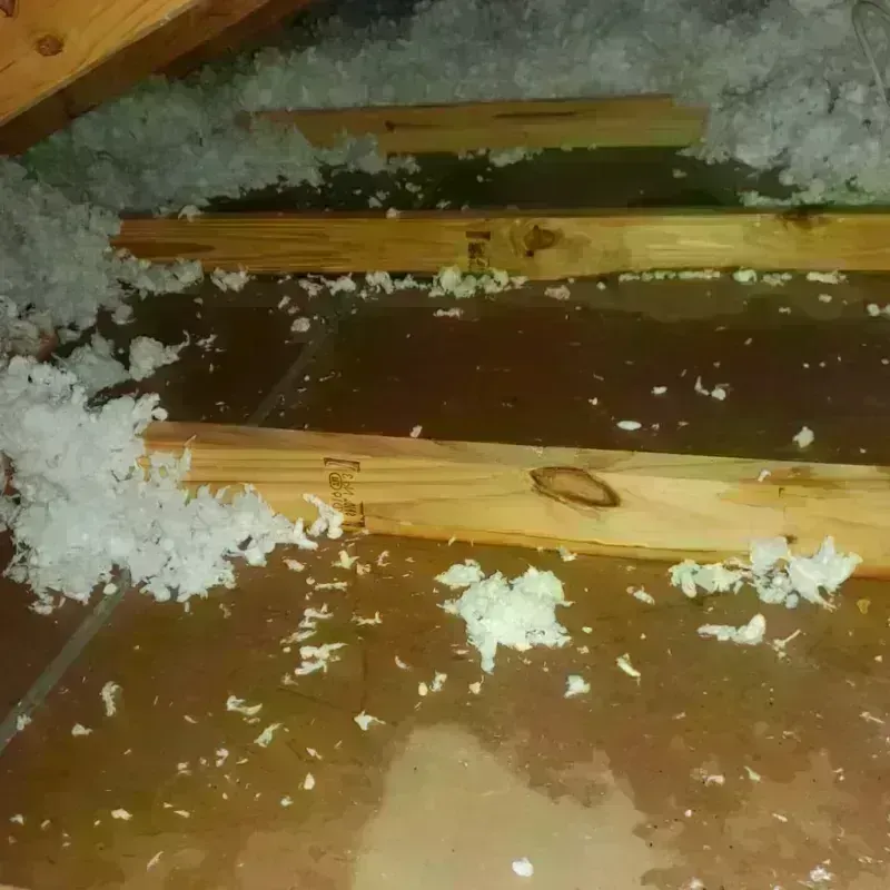 Attic Water Damage in Clay, WV